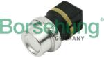 Borsehung Snímač teploty chladiacej kvapaliny Borsehung B13134 (B13134)