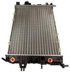 MAXGEAR Chladič motora MAXGEAR AC289661 (AC289661)