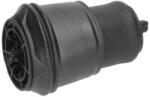 KAVO PARTS Vzduchová pružina, podvozok KAVO PARTS SAS-10024 (SAS-10024)