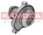 KAMOKA Vodné čerpadlo, chladenie motora KAMOKA T0252 (T0252)
