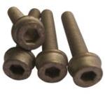 Continental Ctam Sada skrutiek ozubeného kola kľukového hriadeľa CONTINENTAL CTAM MS13 (MS13)