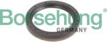 Borsehung Tesniaci krúžok hriadeľa, príruba manuálnej prevodovky Borsehung B12193 (B12193)