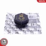 ESEN SKV Uzatvárací kryt, nádobka chladiacej kvapaliny ESEN SKV 61SKV024 (61SKV024)