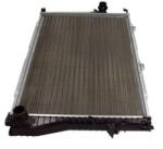 MAXGEAR Chladič motora MAXGEAR AC218525 (AC218525)