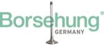 Borsehung Sací ventil Borsehung B10327 (B10327)