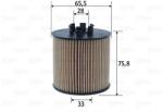 VALEO Olejový filter VALEO 586598 (586598)