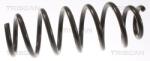 TRISCAN Pružina podvozku TRISCAN 8750 8101 (8750 8101)