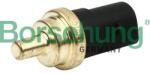 Borsehung Snímač teploty chladiacej kvapaliny Borsehung B13133 (B13133)