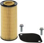 Hengst Filter Hydraulický filter automatickej prevodovky HENGST FILTER E28H D175 (E28H D175)