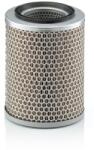 Mann-filter Vzduchový filter MANN-FILTER C 17 134 (C 17 134)