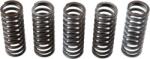 TRW Sada spojkových pružin TRW MEF314-5 (MEF314-5)