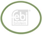 Febi Bilstein Tesnenie, Palivové čerpadlo FEBI BILSTEIN 174461 (174461)