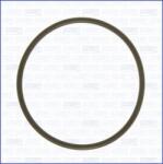 AJUSA Tesnenie, podtlakové čerpadlo AJUSA 16058800 (16058800)