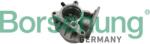 Borsehung Podtlakové čerpadlo, brzdový systém Borsehung B18666 (B18666)