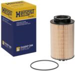Hengst Filter Palivový filter HENGST FILTER E422KP D98 (E422KP D98)
