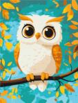 Brushme Számfestés Brushme 30X40 CM Kids Bagoly (BR-KBS0164)