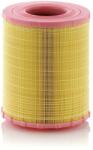 Mann-filter Vzduchový filter MANN-FILTER C 29 010 (C 29 010)