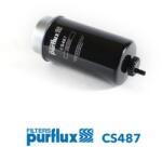 PURFLUX Palivový filter PURFLUX CS487 (CS487)