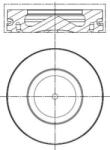 MAHLE Piest MAHLE 081 PI 00100 000 (081 PI 00100 000)