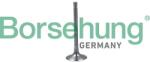 Borsehung Sací ventil Borsehung B19024 (B19024)