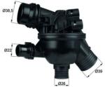 MAHLE Termostat chladenia MAHLE TM 19 102 (TM 19 102)