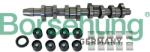 Borsehung Sada vačkového hriadeľa Borsehung B11307 (B11307)