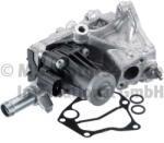 PIERBURG AGR - Modul PIERBURG 7.01881. 06.0 (7.01881.06.0)