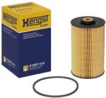 Hengst Filter Palivový filter HENGST FILTER E10KP D10 (E10KP D10)
