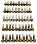 ELRING Ojničná skrutka ELRING 290.300 (290.300)