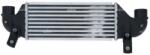 NRF Chladič plniaceho vzduchu NRF 30863 (30863)