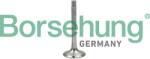 Borsehung Výpustný ventil Borsehung B18997 (B18997)