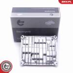 ESEN SKV Riadiaca jednotka osvetlenia ESEN SKV 59SKV042 (59SKV042)