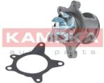 KAMOKA Vodné čerpadlo, chladenie motora KAMOKA T0163 (T0163)