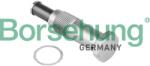 Borsehung Napinák rozvodovej reťaze Borsehung B1T022 (B1T022)