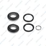 GSP Súprava ložísk kolesa GSP GK0749 (GK0749)