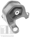 TEDGUM Uloženie, motor TEDGUM TED95218 (TED95218)