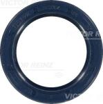 Victor Reinz Tesniaci krúżok vačkového hriadeľa VICTOR REINZ 81-26244-00 (81-26244-00)