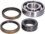JAPANPARTS Súprava ložísk kolesa JAPANPARTS KK-26010 (KK-26010)
