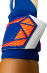 Reusch Attrakt Duo Evolution Goalkeeper Gloves