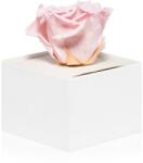 RoseAmor Pink trandafir stabilizat în cutie 1 buc