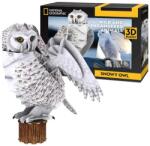 CubicFun 3D пъзел Cubic Fun от 62 части - Полярна сова (DS1079h)