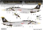 HADMODELS HAD48196-2022 REPRINT F-14A repülőgép makett (HAD48196-2022)