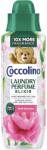 Coccolino First Blooms illatfokozó mosóparfüm 460ml