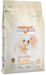 BonaCibo Puppy csirke, szardella & rizs 3kg - mogyishop