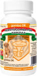 Gomba Dr. Capsulă de Ciupercă Omidă pentru câini și pisici (200 mg / capsulă) 100 buc