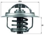 MAHLE Termostat chladenia MAHLE TX 111 87D (TX 111 87D)