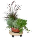 AtmoWood Gurulós virágalátét (6045)