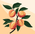 Alkotásutca Édes őszibarack - Számfestő készlet kereten 40x40