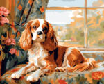 Alkotásutca Cavalier király - Számfestő készlet kereten 40x50