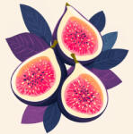 Alkotásutca Tengerparti füge - Számfestő készlet kereten 40x40